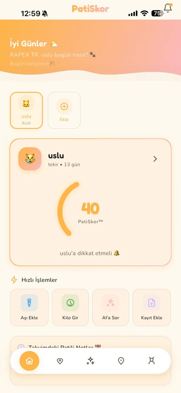 PatiSkor ana ekranı: sağlık puanı