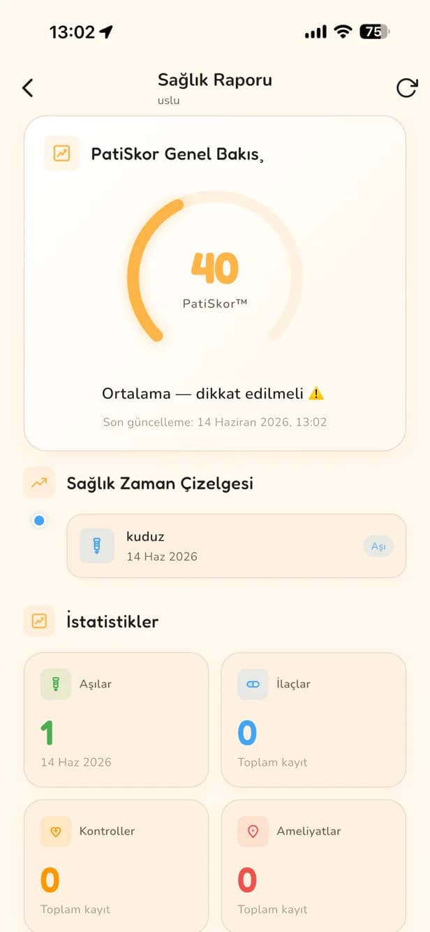 PatiSkor sağlık raporu